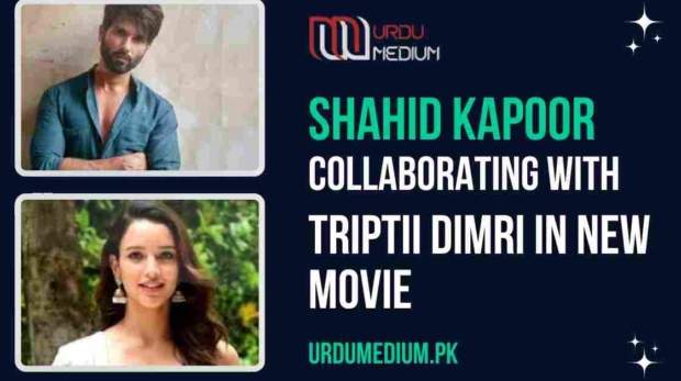 Shahid-Kapoor-Collaborating-With-Triptii-Dimri