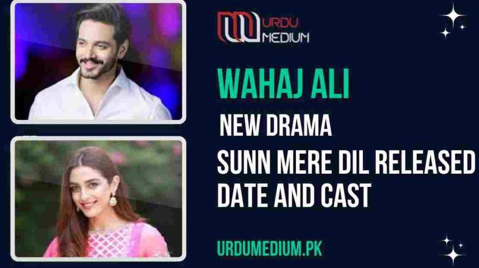 Wahaj-Ali-New-Drama-Sunn-Mere-Dil